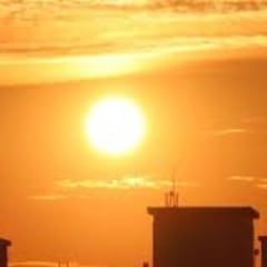 Advertencia mundial, la ONU sentencia que el mundo debe aprender a vivir con las olas de calor extremo