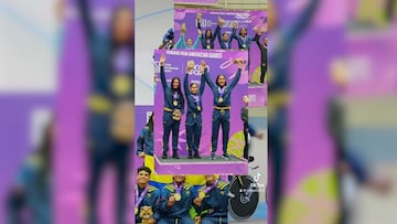 El Comité Olímpico repasa los deportistas que han logrado llevar la bandera a lo más alto.