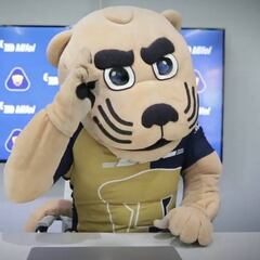 ¡Tienen nuevo arquero! Pumas anunció a Alfredo Talavera