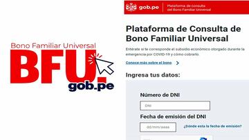 Bono Familiar Universal: link y cómo ver con DNI quién puede cobrarlo hoy, 16 de febrero