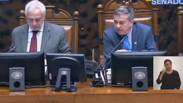 Al senador Coloma le piden pronunciarse por el dolor de Fabiola Campillai y esto responde