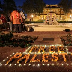 Can my student loans be taken away if I protest at the university against the war in Gaza?