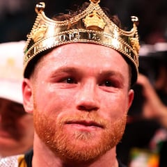 WBC approves Canelo's bid to chase title in fifth weight class