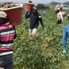 Ayuda para inmigrantes indocumentados en California: Cuándo solicitarla, requisitos y cantidad