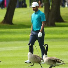 Tres peculiares espectadores en el Masters Británico