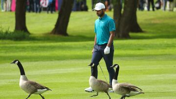 Tres peculiares espectadores en el Masters Británico