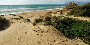 La playa de Artola-Cabopino se encuentra en el municipio de Marbella y es una de las mejores playas naturales que se puede encontrar en la Costa del Sol. Cuenta con una superficie de 1200 m ubicada dentro del paraje natural Dunas de Artola, declarado en el año 2001 como Monumento Natural. Esta playa es apta para todos los públicos, ya que cuenta con zonas más familiares y también cuenta con tramos destinados a la práctica del nudismo para los aficionados a esta práctica.