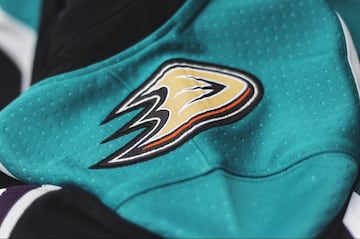 Los Mighty Ducks renacen para la temporada 2019 de la NHL