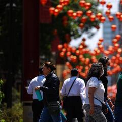 Ramito de Violetas hace bailar a México en pandemia de Coronavirus