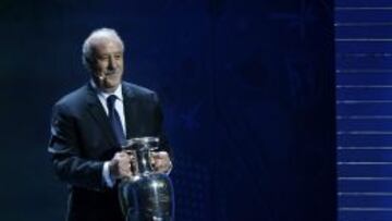 Del Bosque, con la Eurocopa.