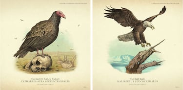 Red Dead Redemption 2: Flora y fauna