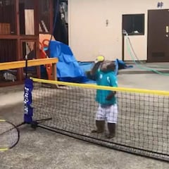 En Japón, un tipo entrenó a su mono... ¡Para jugar tenis con él!