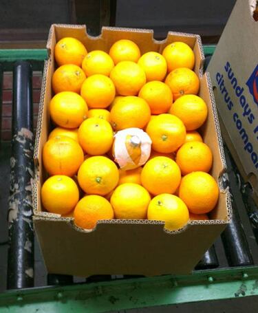 ¿Para qué sirve la fruta robótica? Así es la manzana robot con sensores