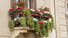 La Ley de Propiedad Horizontal lo confirma: si un vecino cuelga las macetas del balcón, puedes apelar al artículo 7.2