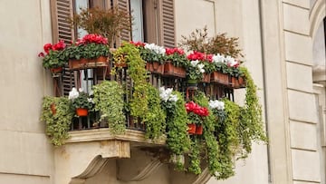 La Ley de Propiedad Horizontal lo confirma: si un vecino cuelga las macetas del balcón, puedes apelar al artículo 7.2