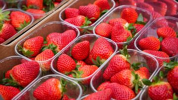 Representantes de UPA reparten fresas de Huelva a los viandantes. A 7 de marzo de 2024, en Sevilla (Andalucía, España). La organización agraria UPA ha repartido tarrinas de fresas en Puerta Jerez de Sevilla, dentro de la campaña 'Yo como fresas de Huelva porque son sanas, seguras y sostenibles'.
07 MARZO 2024
María José López / Europa Press
07/03/2024