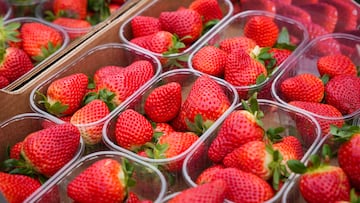 Representantes de UPA reparten fresas de Huelva a los viandantes. A 7 de marzo de 2024, en Sevilla (Andalucía, España). La organización agraria UPA ha repartido tarrinas de fresas en Puerta Jerez de Sevilla, dentro de la campaña 'Yo como fresas de Huelva porque son sanas, seguras y sostenibles'.
07 MARZO 2024
María José López / Europa Press
07/03/2024