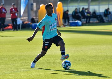 La Selección Colombia Sub 20 se prepara en San Juan para disputar su partido de octavos de final del Mundial ante Eslovaquia.