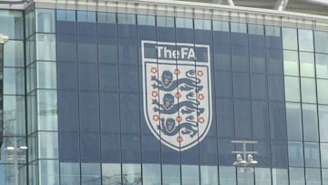 MPs in the House of Commons have issued a vote of no confidence in the Football Association's ability to reform itself.