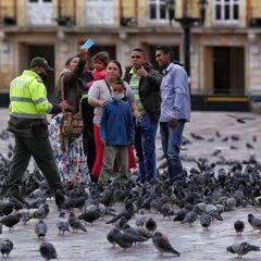Familias en Acción: cómo inscribirse y cuándo comenzarán los pagos