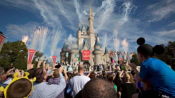 FILE PHOTO: Fireworks go off around Cinderella&#039;s castle during the grand opening ceremony for Walt Disney World&#039;s new Fantasyland in Lake Buena Vista, Florida December 6, 2012. REUTERS/Scott Audette/File Photo