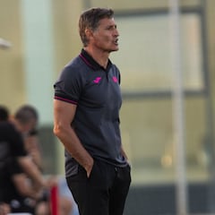 La reforma de Míchel