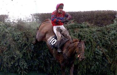 The Grand National from Aintree: the last 15 winners since 2000