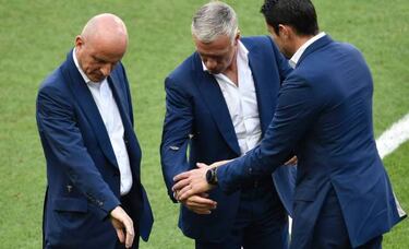 Plaga de polillas en el estadio Saint-Denis