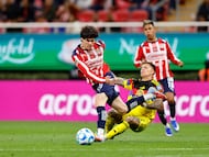 AME5367. GUADALAJARA (MÉXICO), 14/02/2026.- Diego Campillo (i) de Guadalajara disputa el balón con Paul Rodríguez de América este sábado, en un partido de la Liga MX entre Guadalajara y América disputado en el Estadio Akron, en Guadalajara (México). EFE/ Francisco Guasco