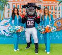 Así es la Fan Zone de los Miami Dolphins en Madrid