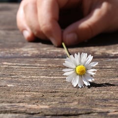 ¿De dónde viene la expresión ‘tocar madera’, origen y significado?