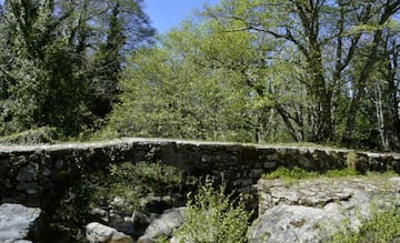 Una ruta por históricos y viejos caminos por los que transitará el senderista desde Navaconcejo hasta la localidad de Piornal. Un paseo de 10 km por estos pueblos del norte extreme?o, en los que el caminante podrá contemplar la belleza del paisaje jerte?o, salpicado de gargantas y entornos naturales únicos, como la Reserva Natural de la Garganta de los Infiernos; y de municipios con identidad propia en los que las gastronomía, con productos como la cereza como referente, hacen de esta comarca un destino único.