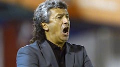 Gorosito regresa a Tigre