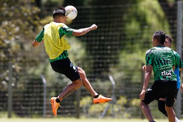 Atlético Nacional se pone al día en el calendario y este jueves enfrentará a Envigado en el Atanasio Girardot. Así se preparan los dirigidos por Hernán Darío Herrera.