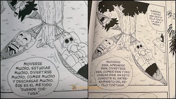 Dragon Ball método duende tortuga filosofía de vida Akira Toriyama