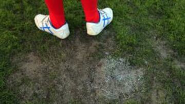 Detalle del terreno de juego de Los Cármenes.