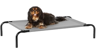 Evita que tu mascota pase calor con esta cama fresca para perros con 55.000 valoraciones en Amazon