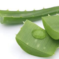 La fórmula para comer sin engordar, según unas investigadoras sevillanas