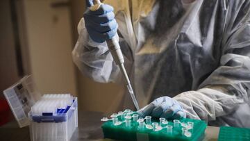 La OMS retrasa la fecha para la vacunación masiva