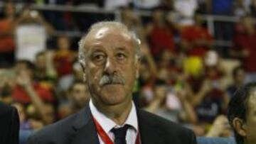 VICENTE DEL BOSQUE DIRIGE A LA SELECCION ESPA&Ntilde;OLA DURANTE EL ESPA&Ntilde;A - MACEDONIA
 