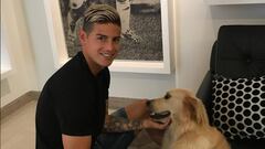 James, la última víctima de la maldición del ‘10’ del Madrid