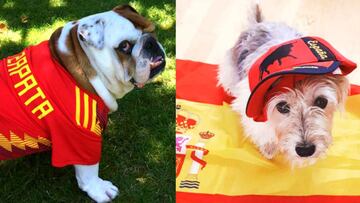 Estas adorables criaturas estarán apoyando a la Selección.