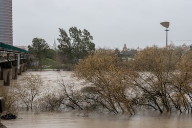 El río Guadalquivir desbordado por la zona de la Cartuja en Sevilla.