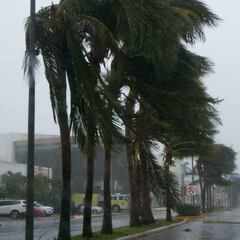 Trayectoria en vivo de la tormenta tropical Carlotta: llegará a huracán categoría 2