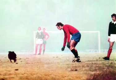 En 1970 debutó con la Selección Española ante Grecia. Con la Roja jugó 35 partidos y participó en los Mundiales de Argentina 78 y España 82 y en la Eurocopa de Italia 80.