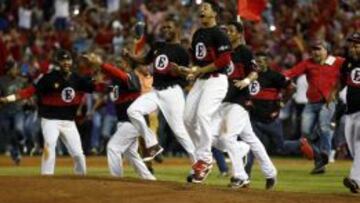 Los Leones del Escogido son los actuales campeones de la liga dominicana .