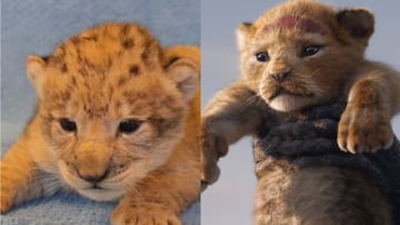 Bahati y Simba