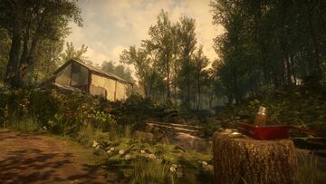 Captura de pantalla - Everybody’s Gone to the Rapture (PS4)