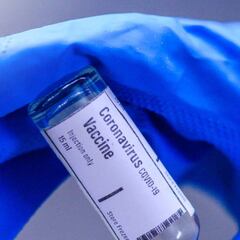 La vacuna contra el coronavirus que ya funciona en monos