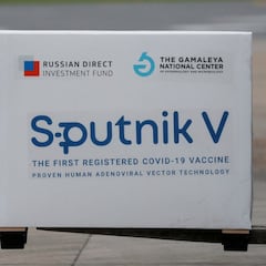 Las claves para descifrar la enigmatica vacuna rusa: Sputnik V